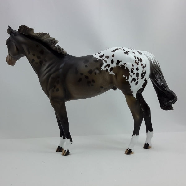 IT&#39;S A CELEBRATION - OOAK Blanket Appaloosa Stock Horse 12/14