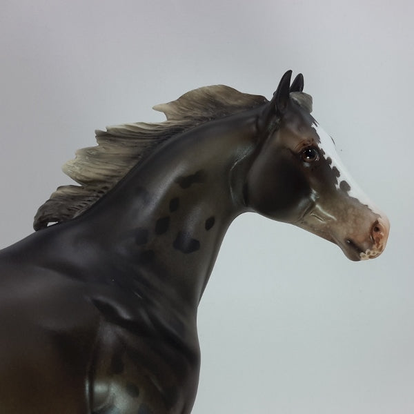 IT&#39;S A CELEBRATION - OOAK Blanket Appaloosa Stock Horse 12/14