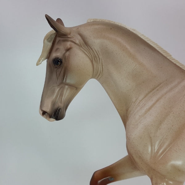 DOUGLAS LEIGH - OOAK Fleabit Chestnut Tennessee Walker 12/14