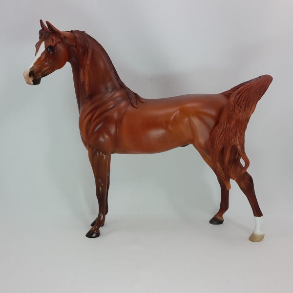 FIRECRACKER - OOAK Dapple Chestnut Arabian 12/14