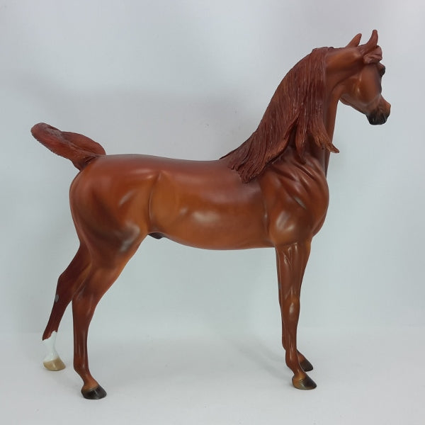 FIRECRACKER - OOAK Dapple Chestnut Arabian 12/14