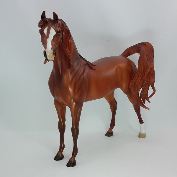 FIRECRACKER - OOAK Dapple Chestnut Arabian 12/14