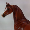 FIRECRACKER - OOAK Dapple Chestnut Arabian 12/14