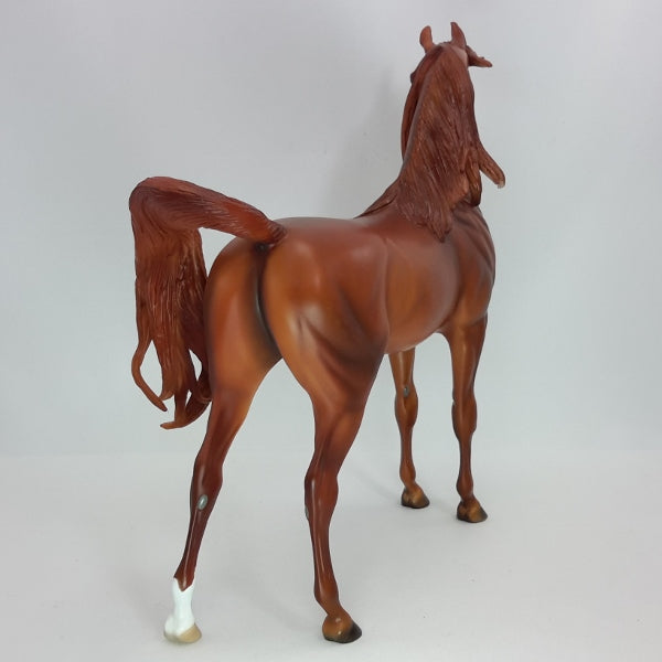 FIRECRACKER - OOAK Dapple Chestnut Arabian 12/14