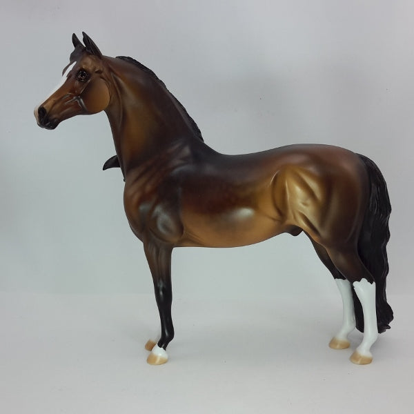 COUNT DOWN - OOAK Dapple Seal Bay Morgan 12/14