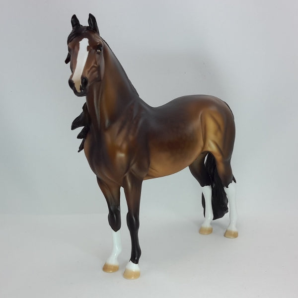 COUNT DOWN - OOAK Dapple Seal Bay Morgan 12/14