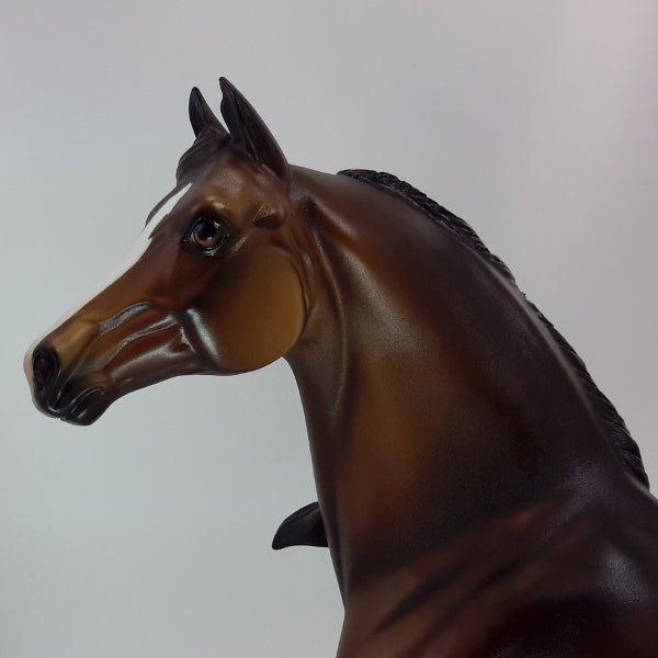 COUNT DOWN - OOAK Dapple Seal Bay Morgan 12/14