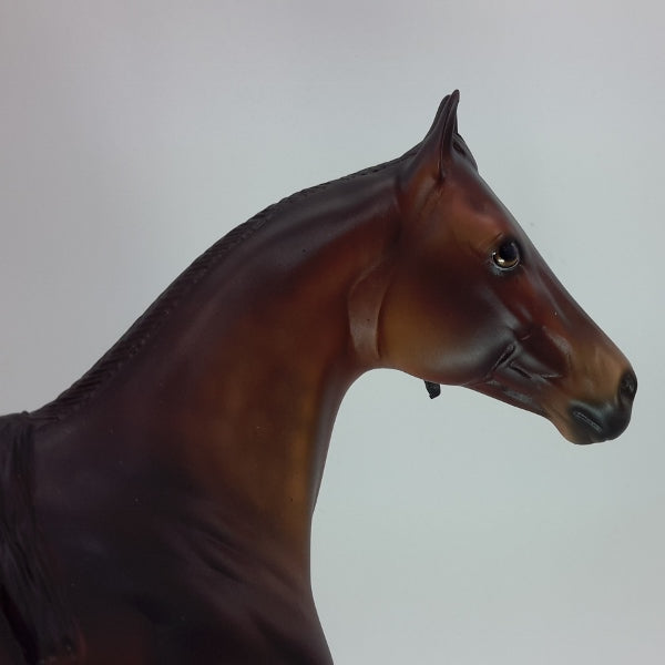 CIMERON GIRL - OOAK Dapple Bay Appaloosa Stock 12/14