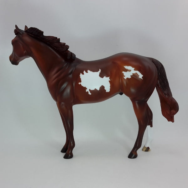 JACK BEAN - OOAK Dapple Chestnut Paint Stock 12/14
