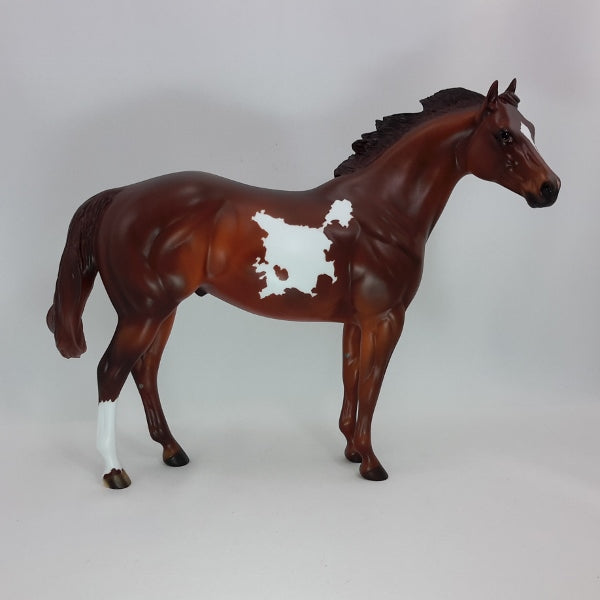 JACK BEAN - OOAK Dapple Chestnut Paint Stock 12/14