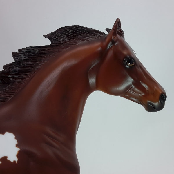 JACK BEAN - OOAK Dapple Chestnut Paint Stock 12/14