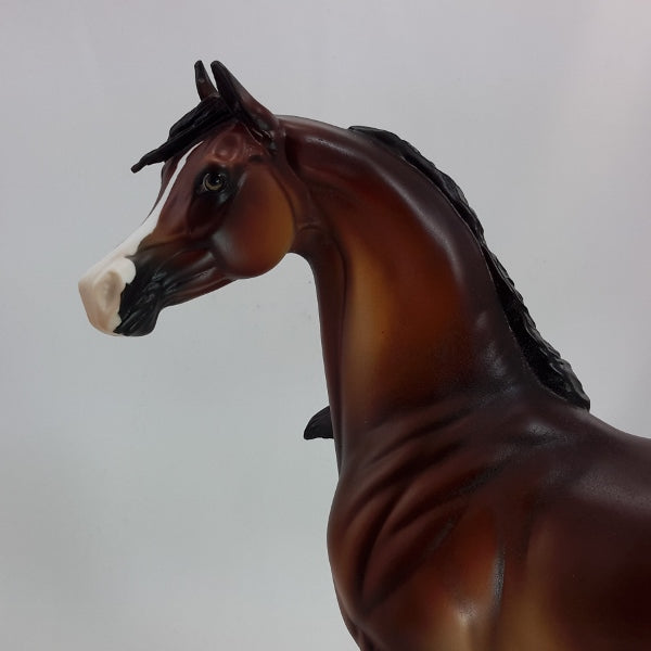 MANHATTAN - OOAK Bay Arabian Mare 12/14