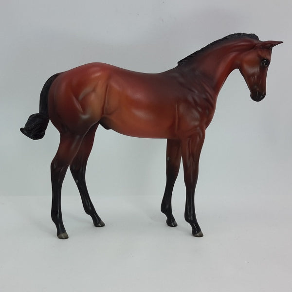 HUDSON - OOAK Red Bay Weanling 12/14