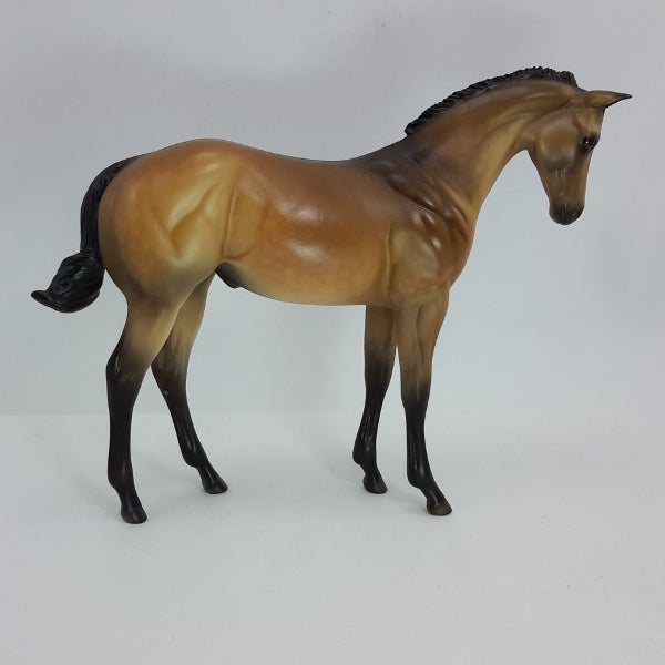 CROTON - OOAK Dapple Buckskin Weanling 12/14