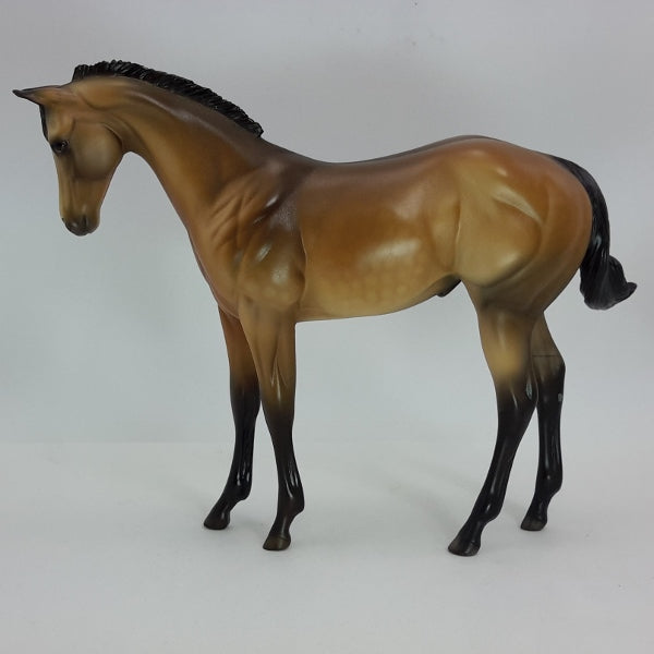 CROTON - OOAK Dapple Buckskin Weanling 12/14