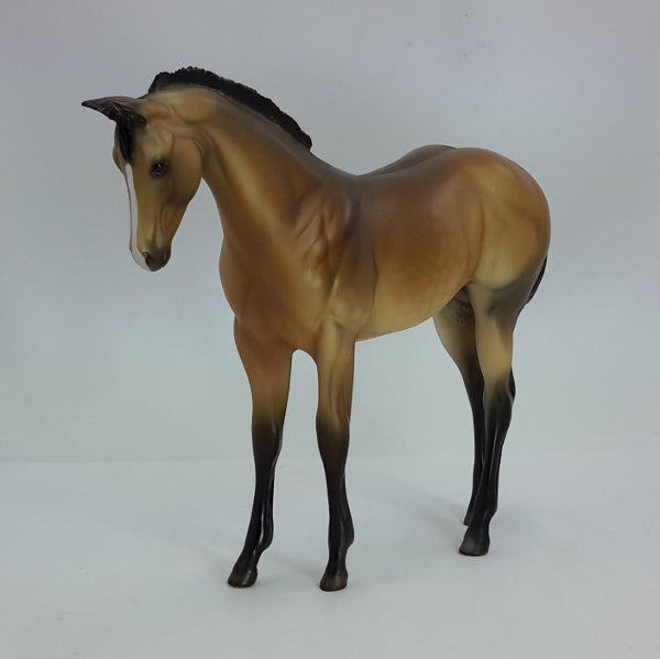 CROTON - OOAK Dapple Buckskin Weanling 12/14