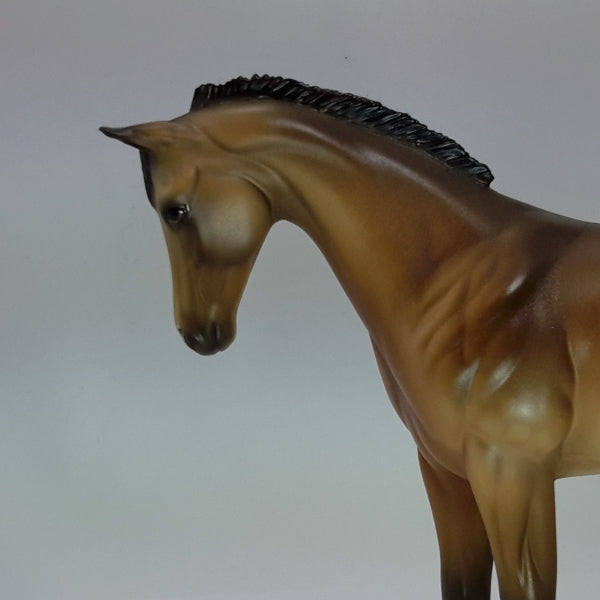 CROTON - OOAK Dapple Buckskin Weanling 12/14