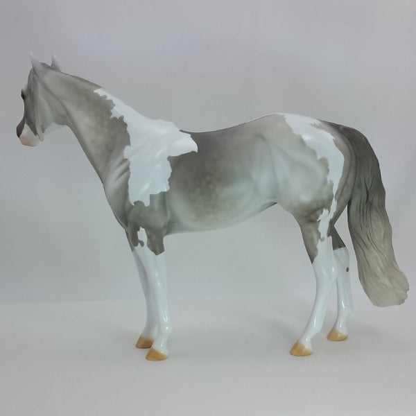 NEW YEAR RESOLUTION - OOAK Dapple Gray Tobiano Stock Horse 12/14
