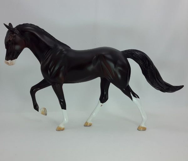 CHAMPION - OOAK Sunburned Black Tennessee Walker 12/14