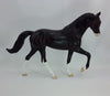 CHAMPION - OOAK Sunburned Black Tennessee Walker 12/14