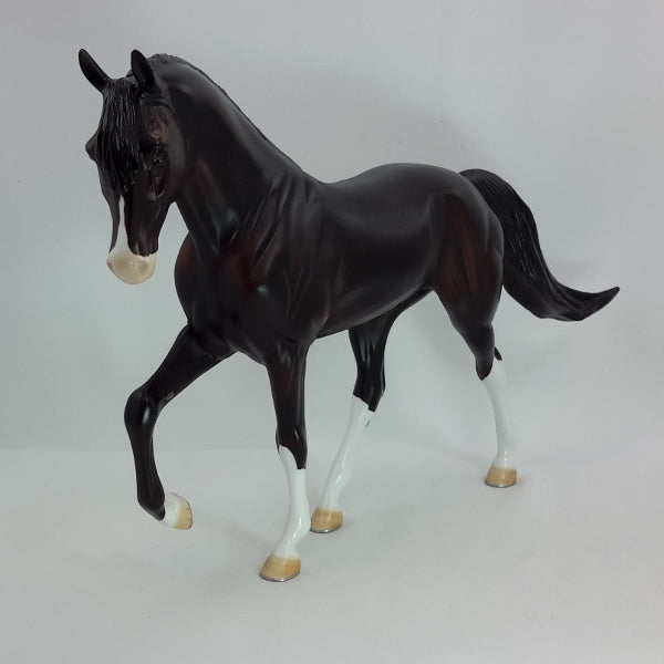 CHAMPION - OOAK Sunburned Black Tennessee Walker 12/14
