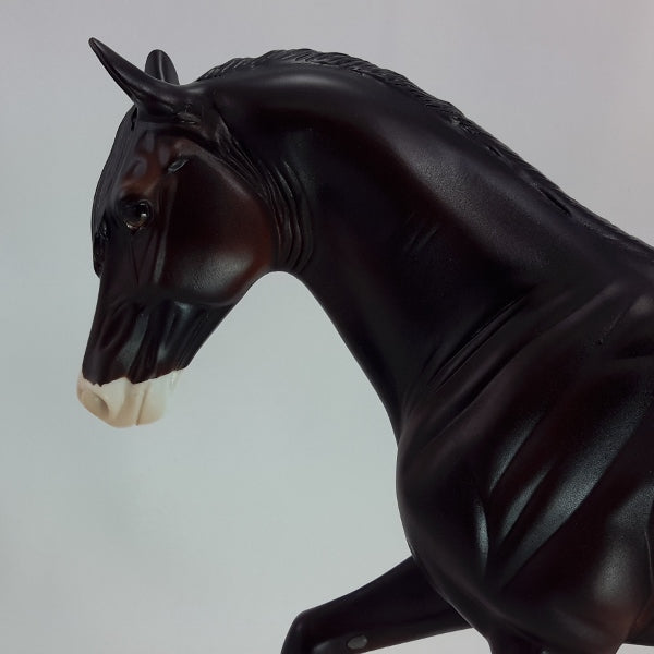 CHAMPION - OOAK Sunburned Black Tennessee Walker 12/14