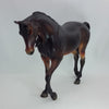 MERRYMAKING - OOAK Seal Bay Thoroughbred 12/14