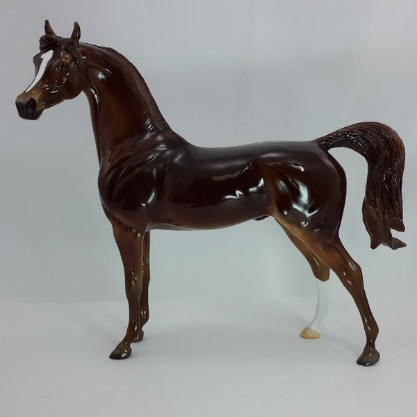 CHOCOLATE CHERRY - OOAK Chestnut Arabian 12/14