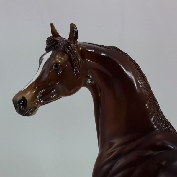 CHOCOLATE CHERRY - OOAK Chestnut Arabian 12/14