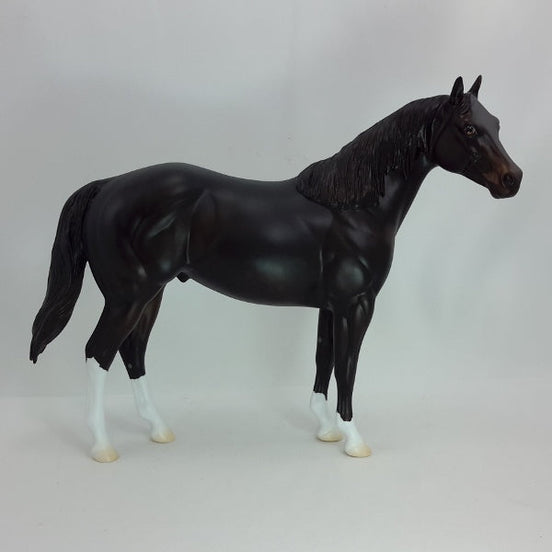 BLACK STAR - OOAK DappleBlack Stock Horse 12/14