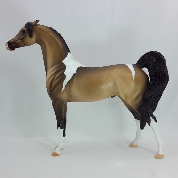 TORCH - OOAK Buckskin Tobiano Pinto Arabian 12/14