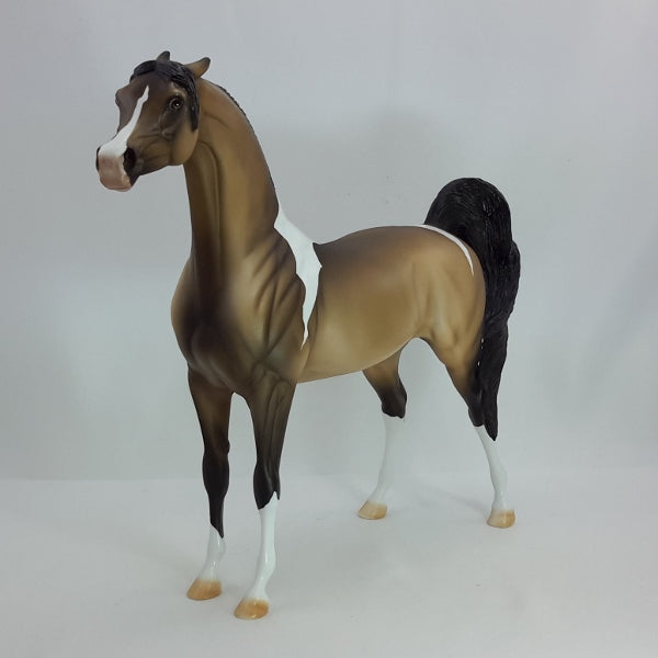 TORCH - OOAK Buckskin Tobiano Pinto Arabian 12/14