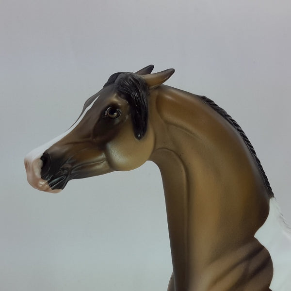 TORCH - OOAK Buckskin Tobiano Pinto Arabian 12/14