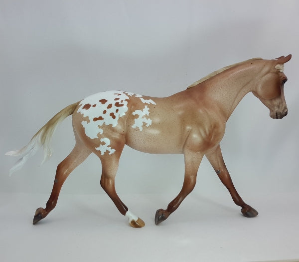 ILLUMINATION - OOAK Varnish Roan Appaloosa 12/14