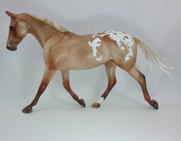 ILLUMINATION - OOAK Varnish Roan Appaloosa 12/14