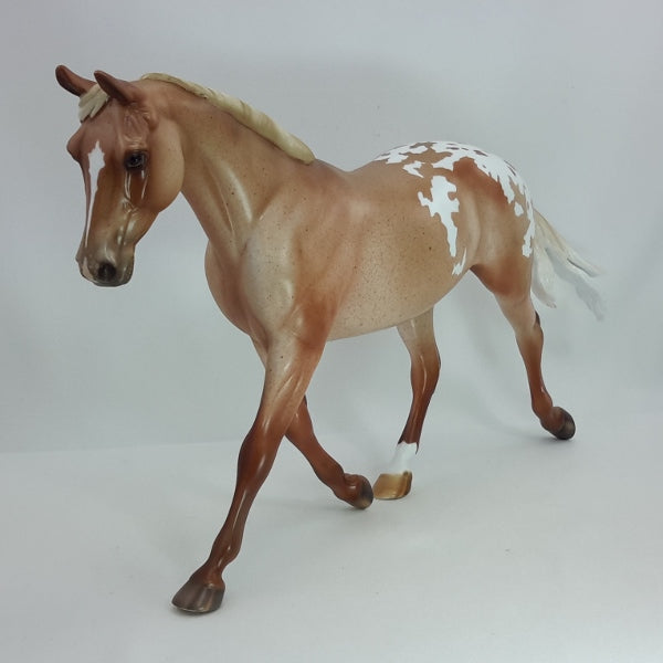 ILLUMINATION - OOAK Varnish Roan Appaloosa 12/14