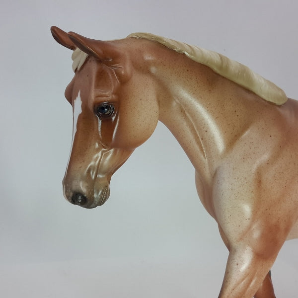 ILLUMINATION - OOAK Varnish Roan Appaloosa 12/14
