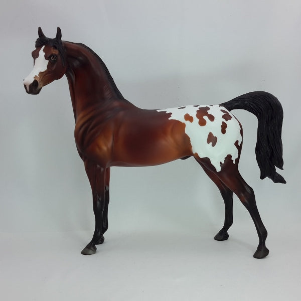 MOCHA MADNESS - OOAK Bay Appaloosa Arabian 12/14