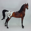 MOCHA MADNESS - OOAK Bay Appaloosa Arabian 12/14