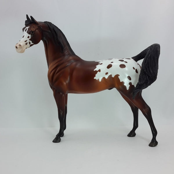 HALO - OOAK Bay Blanket Appaloosa Arabian 12/14