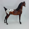 HALO - OOAK Bay Blanket Appaloosa Arabian 12/14