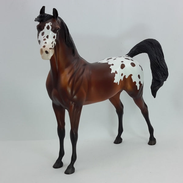 HALO - OOAK Bay Blanket Appaloosa Arabian 12/14