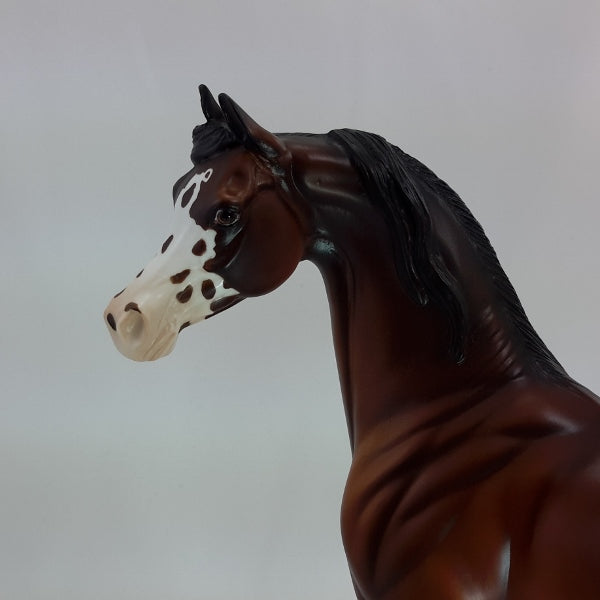 HALO - OOAK Bay Blanket Appaloosa Arabian 12/14