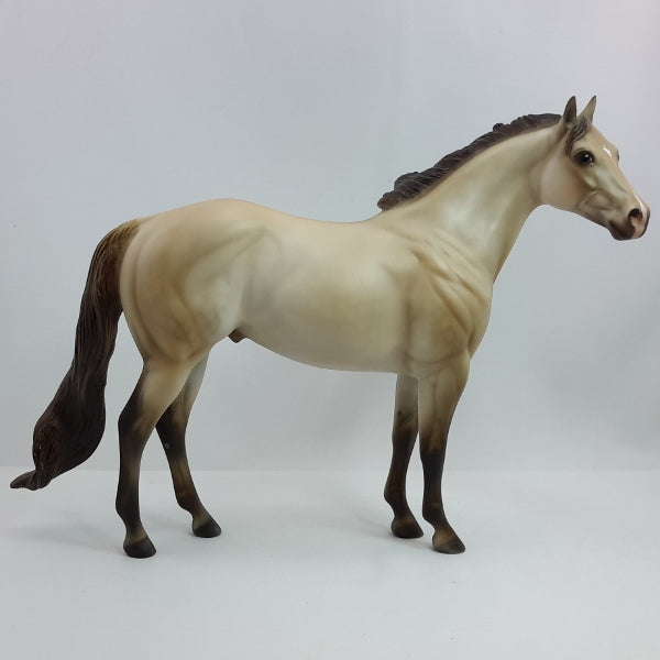 WINTHROP - OOAK Buttermilk Buckskin Stock Horse 1/15