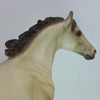 WINTHROP - OOAK Buttermilk Buckskin Stock Horse 1/15