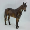 HALVERSON- OOAK Dapple Chestnut w/ Braided Mane Stock Horse 1/15