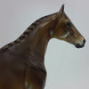 HALVERSON- OOAK Dapple Chestnut w/ Braided Mane Stock Horse 1/15