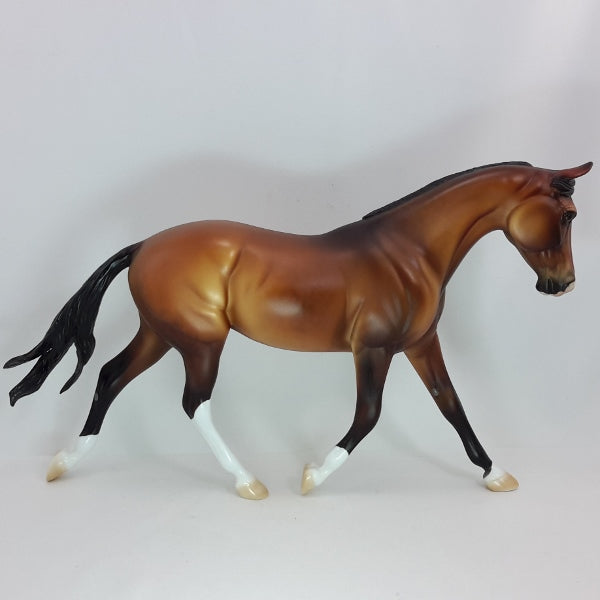 LIGHT FOOT - OOAK Dapple Bay Palouse 1/15