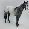 JINXY - OOAK Gray Appaloosa Stock Horse 1/15