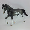 MAGNETIC - OOAK Gray Sabino Tennessee Walker 1/15